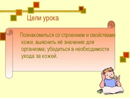 Свойства кожи