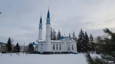 Республика татарстан высокогорский