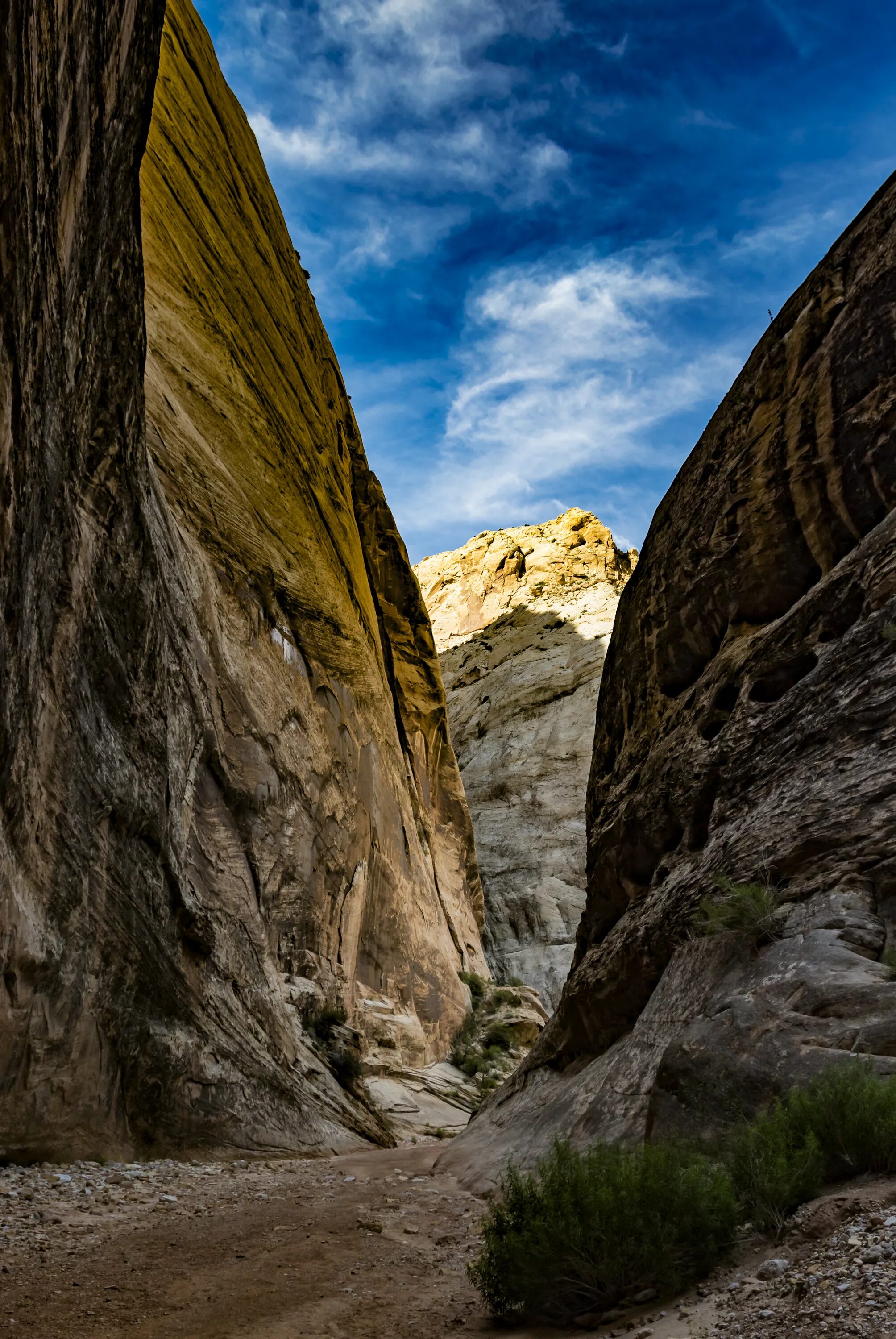 Скалы ущелье. Ущелье маска тенерифе скалы. Zion national park. Зелёный каньон джунгли горы. Каньон расщелина сша.