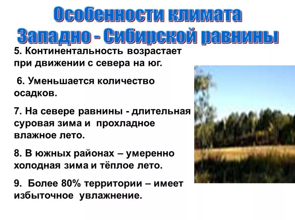 Какие климатические условия в сибири. Западносибирскаяская равнина. Климатические условия Западно сибирской равнины. Особенности Западно сибирской равнины. Западно-Сибирская равнина особенности природы.