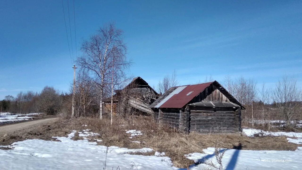 Погода в костино на неделю. Костино Вологодский район. Деревня Костино Вологодский район. Вологодская область Белозерский район д. Костино. Костино Белозерский район деревня.