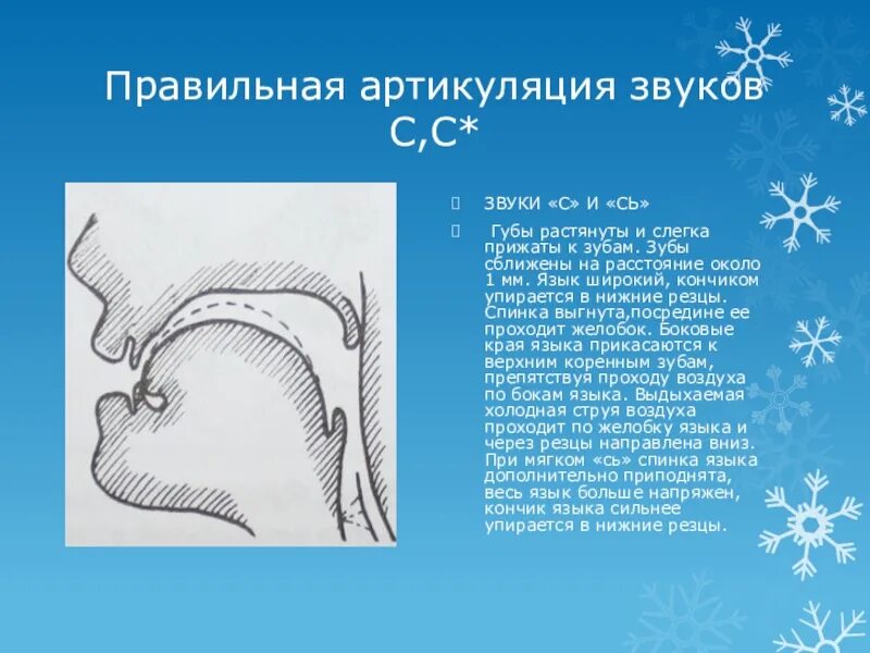 Артикуляция звука с. Правильная артикуляция звука с. Артикуляционный уклад звука с. Артикуляция звука сь. З артикуляция