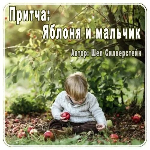 Притча яблоня. Притча про яблоки. мальчик и яблоня притча с картинками. жила была яблонька. жила была яблоня и она любила маленького мальчика.