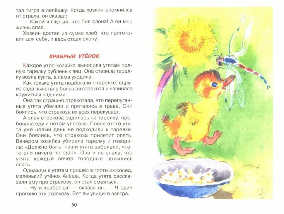 Житков храбрый. Рассказ храбрый утенок житков. рассказ бориса житкова про утенка. б житкова храбрый утенок. житков б. &quot;храбрый утёнок&quot;.