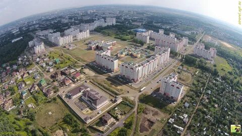 Северный г орел