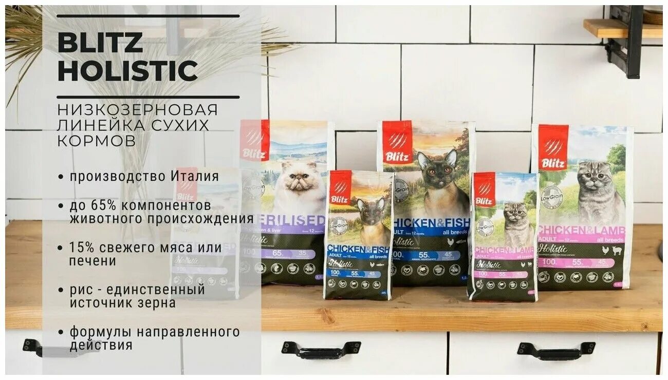 сухой корм блиц для кошек. блиц холистик корм для кошек. блитз холистик корм для кошек. Blitz корм для собак холистик. Blitz корма для кошек.