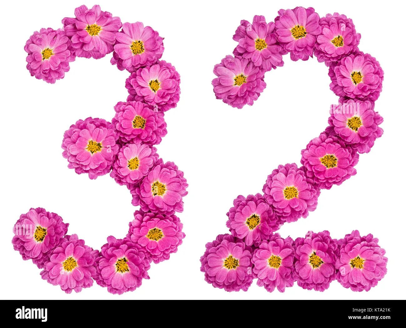 32 число цветы