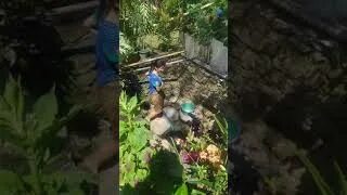 Deepeggs video