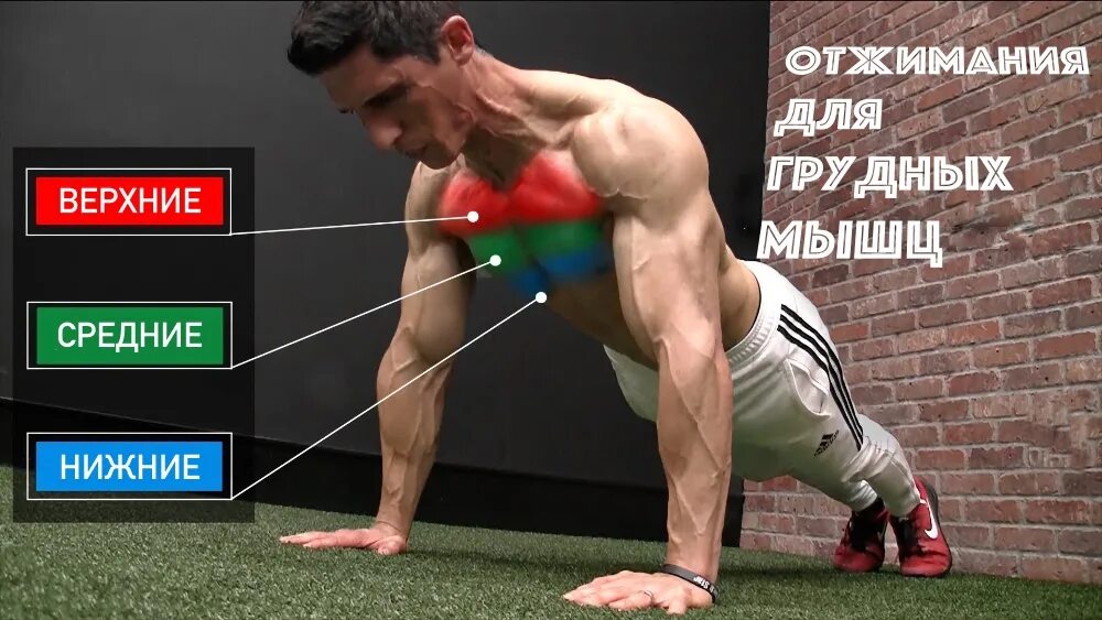 Отжимания для мышц груди. Грудные отжимания от пола. Doskort / упоры для отжиманий. Отжимания узким хватом мышцы. Отжимания от пола узким хватом техника выполнения.