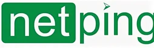 Netping io v4. Netping. netping logo. netping 8. netping v5.