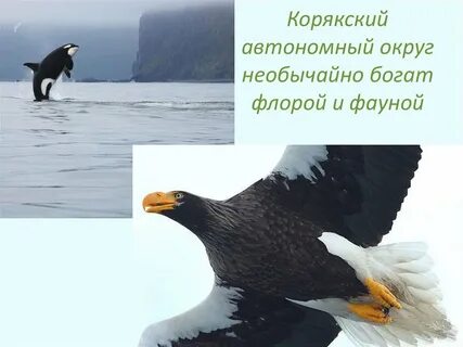 Корякский автономный