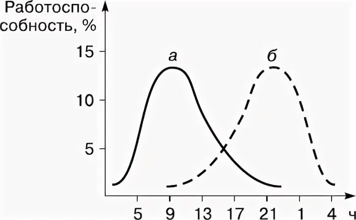 Работоспособность в течение суток. Изменение работоспособности по часам. Работоспособность в течение суток изменение работоспособности. Вечерний Тип работоспособности. Работоспособность изменяется в течение