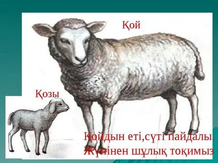 Интернеттегі орыс гламурлық порно