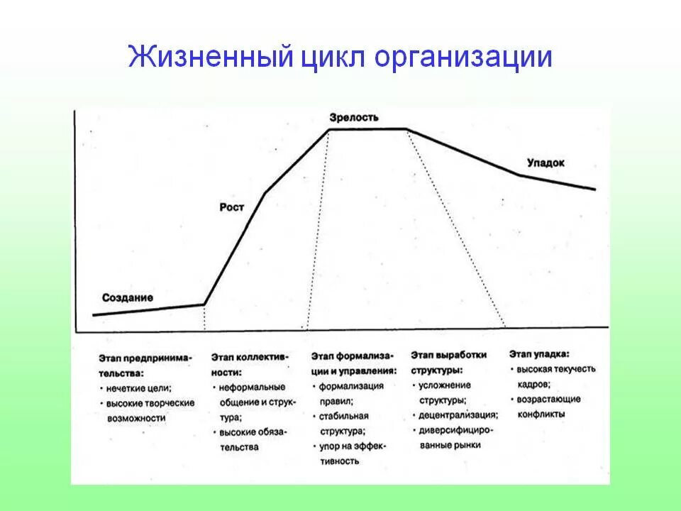 Жизненные стадии компании