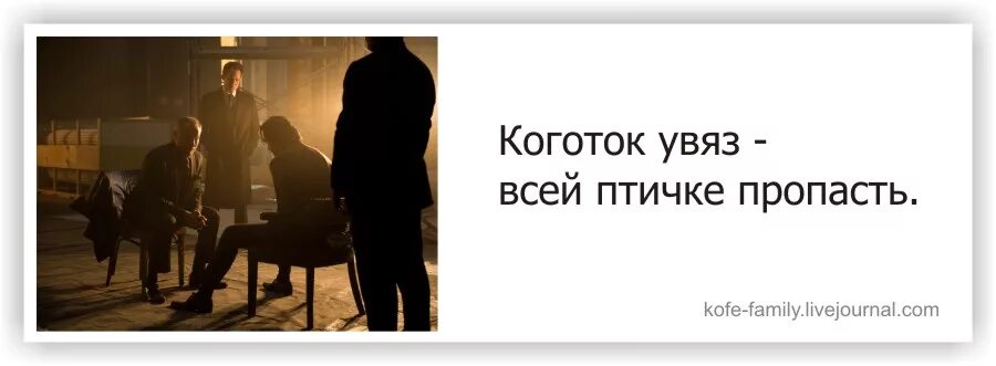 Увяз всей птичке пропасть. Коготок увяз всей Птичке пропасть. Коготок увяз всей Птичке пропасть картинки. Коготок увяз. Коготок увяз всей Птичке пропасть пословица.