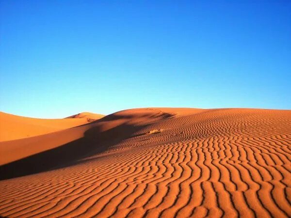 пустыня гоби территория. самые крупные пустыни земли. 3 самые большие пустыни. топ 3 самых больших пустынь в мире. сахара самая большая пустыня в мире.