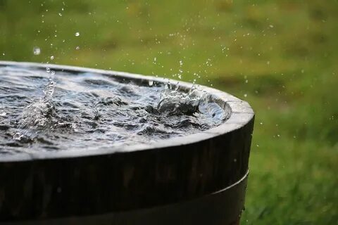Дождевая вода польза