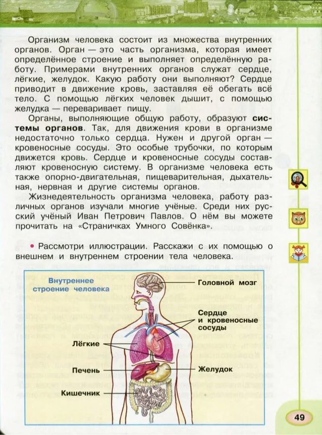 Система органов человека 3 класс Плешаков. Окружающий мир организм человека. Строение человека окружающий мир. Строение тела окружающий мир. Тест строение человека 3 класс перспектива