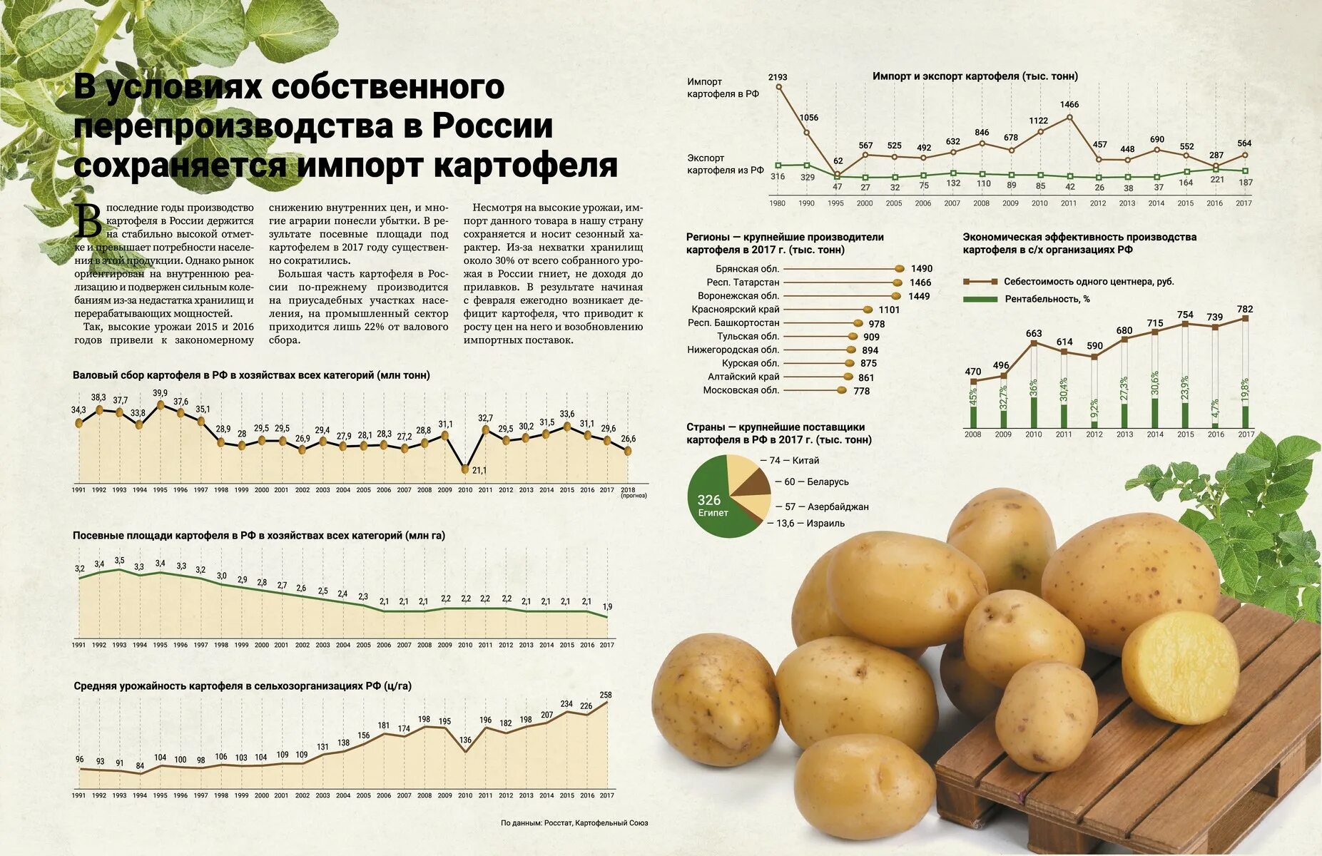 Урожайность картофеля с 1 га. Урожайность картофеля с гектара в России. Средняя урожайность картофеля. Производство картофеля статистика. Определить урожайность картофеля