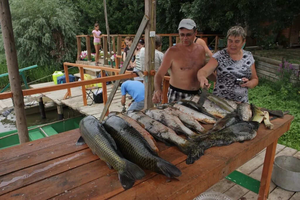 Дельта Волги рыбалка. Рыбалка нижняя Станья. Приглашаем на рыбалку. Станья Астраханская область.