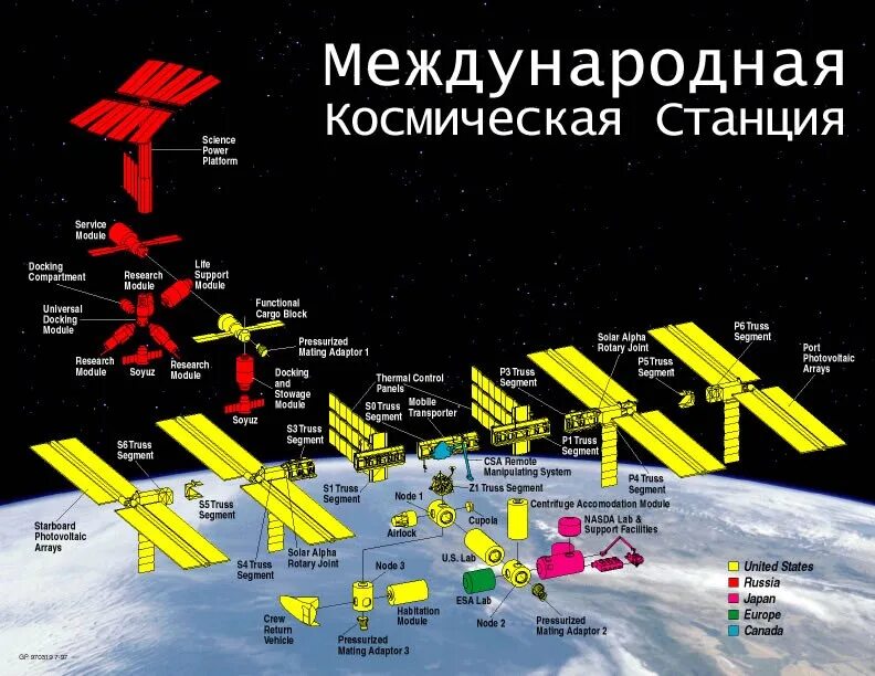 Международная космическая станция в каком году. Международная Космическая станция схема. МКС схема станции 2021. МКС схема модулей. Модули МКС по странам схема.