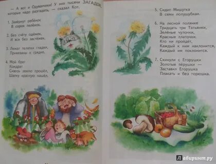 Телятки грядки привязаны к грядке