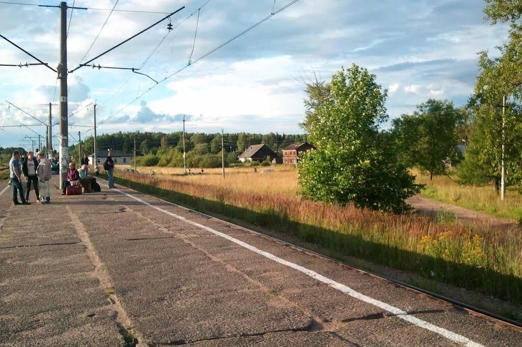 Гатчинский район поселок