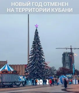 Ели кубани