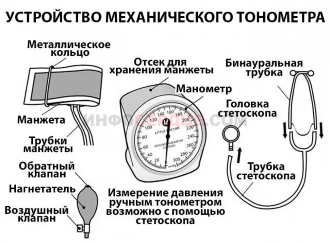 Симптомы низкого давления без тонометра. Как измерить аж таномеиром. как измерить давление механическим тонометром. строение тонометра механического. манометр для измерения артериального давления механический схема.