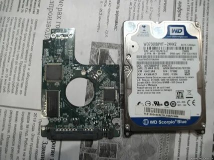 Wd прошивка