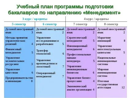 Менеджмент первый курс