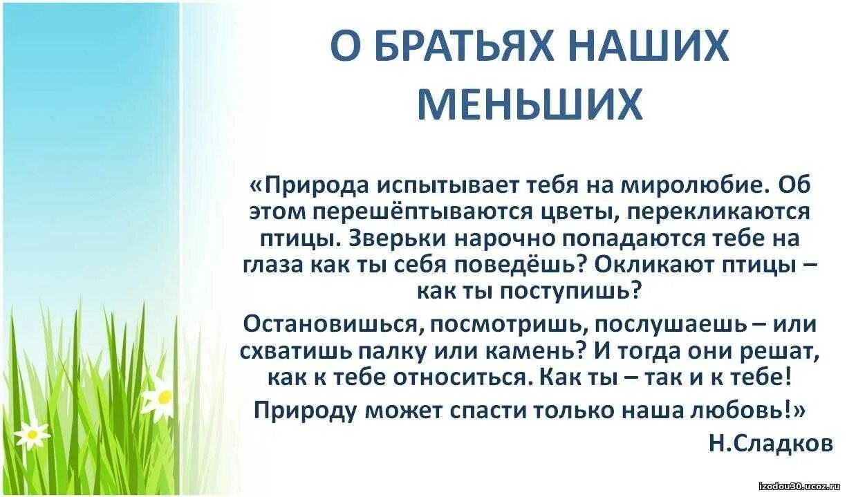 Наши меньшие друзья сочинение 5 класс. Презентация на тему о братьях наших меньших. Братья наши меньшие сочинение. Братья наши меньшие рассказ. Классный час «о братьях наших меньших».