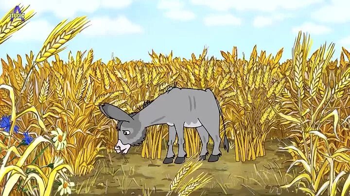 Волк беларусь. Глупый волк. Глупый волк сказка. Глупый волк белорусская народная сказка. Белорусская сказка глупый волк.
