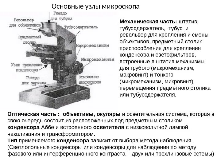 Части микроскопа выполняют функции штатив. Микроскоп механическая часть оптическая часть осветительная часть. Строение микроскопа тубусодержатель. Строение микроскопа револьвер. Оптическая схема светового микроскопа.