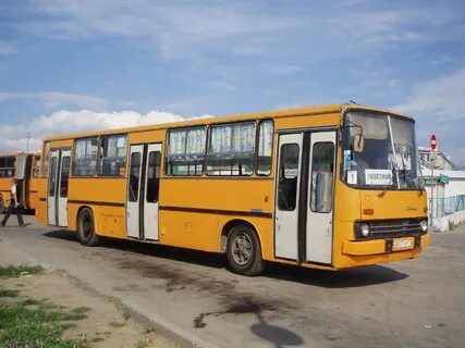 Автобус 290