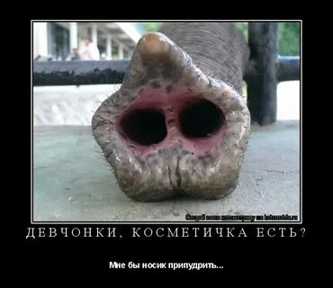 Видел через неделю