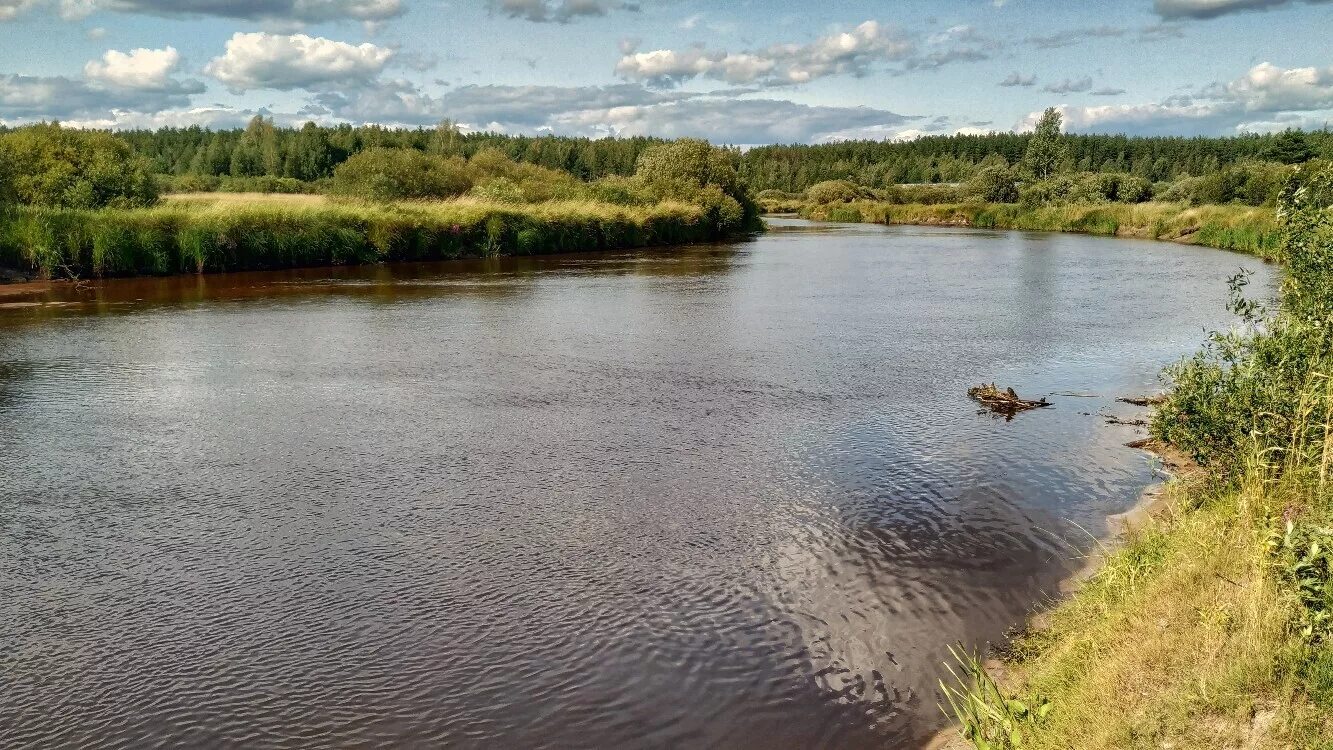Река относится к водоему