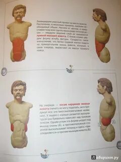 Олюнин лепка из пластилина