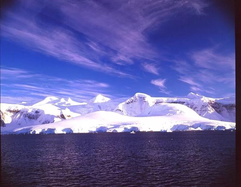 Красота антарктиды. Чем отличается природа антарктиды от природы других. Антарктида проект. Арктика и антарктика. Особенности ледяного покрова антарктиды.