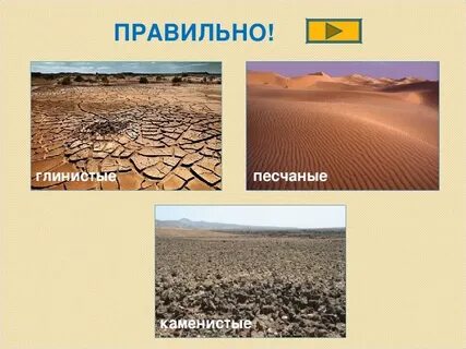 Для этой природной зоны характерны