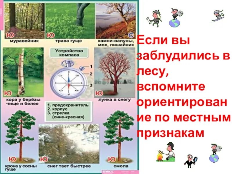 Ориентирование на местности по признакам местных предметов. Способы ориентирования в лесу. Ориентиры в лесу без компаса. Ориентирование по местным признакам. Где пригодится ориентирование на местности окружающий мир