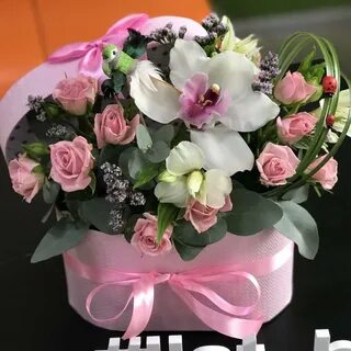 Флаувау новосибирск