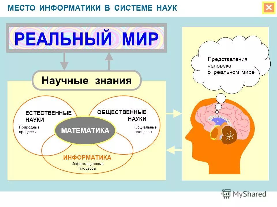 Место информатики в системе наук. Что изучает информатика кратко. Прикладная математика и информатика. Знания это в информатике. Общественные науки информатика.