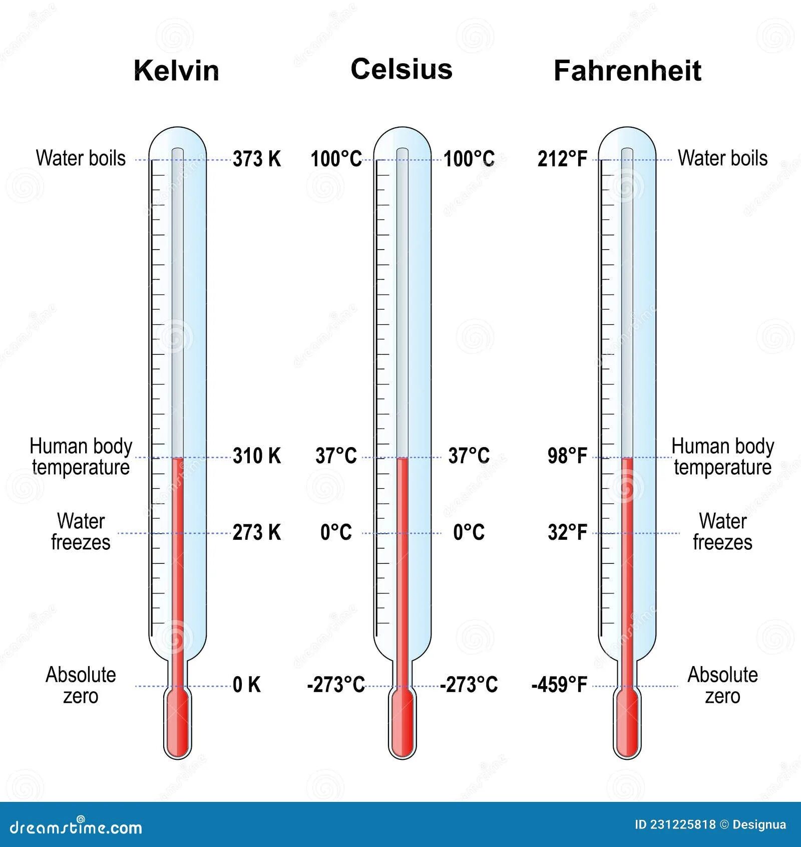 Какая температура принята за 100 c. Температурные шкалы фаренгейт цельсий Кельвин вектор. Градусник со шкалами Цельсия и Фаренгейта. Шкала тепловой температуры Кельвина. Измерение температуры в Кельвинах.