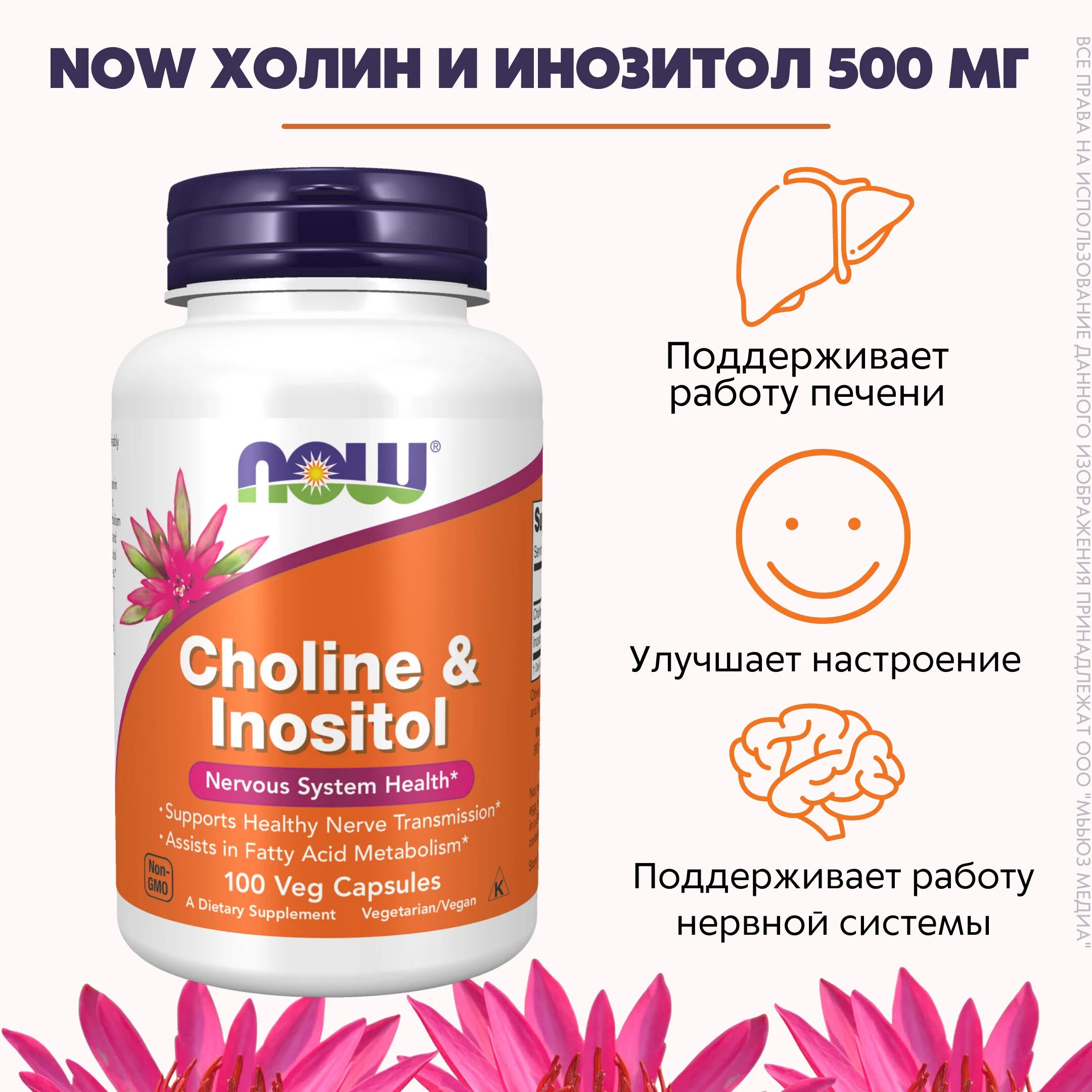 Choline & Inositol Холин инозитол. Инозитол 250 250 мг Холин. Now Choline Inositol 250/250 мг. Инозитол 500. Инозитол для чего назначают