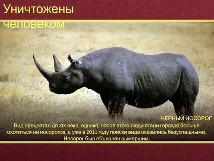 Оказался какой вид