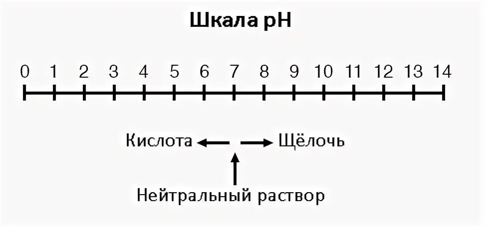 Первая шкала