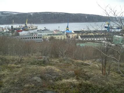 Мурманск роста