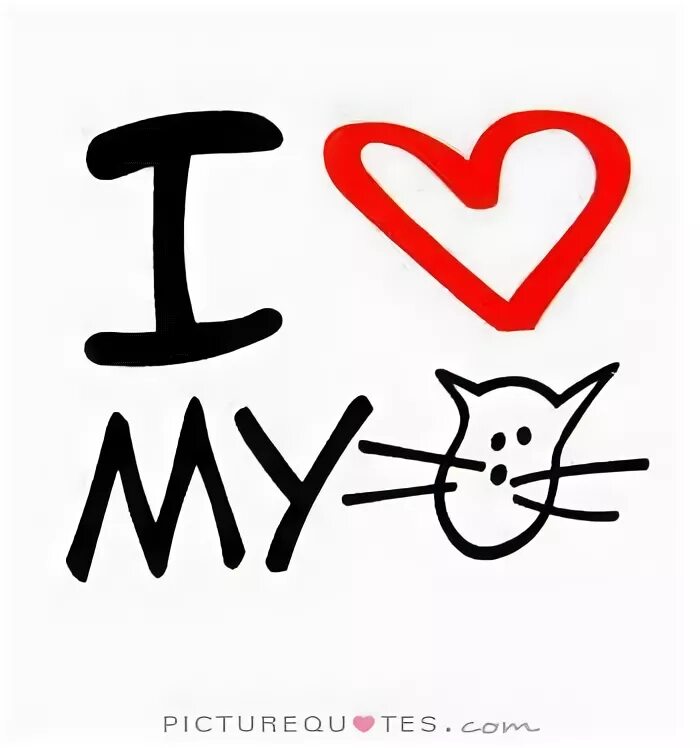 Надпись i Love Cats. Лов Кэт. I Love my Cat. I Love Cats надпись красивая. My cat new