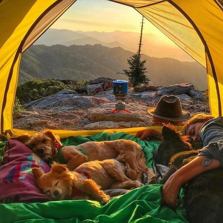 When we go camping. Красивый вид из палатки. Поход с палатками. Палатка на природе. Ночевка в палатке.